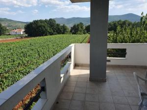 a patio with a view of a vineyard at Rooms Nikola Rule Ostojic in Međugorje