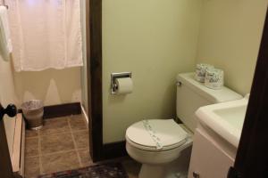 a bathroom with a toilet and a sink at 4 Bed 2 Bath Vacation home in Franconia in Franconia +14 photos