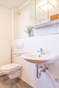 ein Badezimmer mit Waschbecken und Toilette in der Unterkunft Casa Susanna in Wald-Michelbach