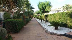 オロペサ・デル・マールにあるADOSADO NUEVA OROPESAの庭の椰子や茂みの散歩道
