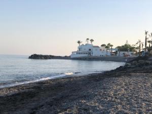 a beach with a white building and palm trees at Piso encantador junto al mar, relax, tranquilidad in Torre del Mar