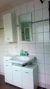 a bathroom with a white sink and a mirror at Kleines Apartement zwischen Ega und Messe Erfurt in Erfurt