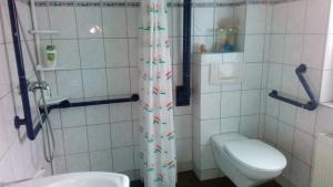 a small bathroom with a toilet and a shower at Kleines Apartement zwischen Ega und Messe Erfurt in Erfurt