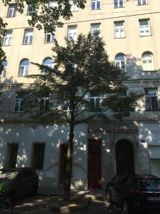 a tree in front of a large building at ruhige, ganze Wohnung SISSI in Zentrumsnähe in Vienna