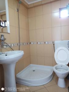 a bathroom with a toilet and a sink at Casa Rodica str. Clabucetului 28 in Buşteni