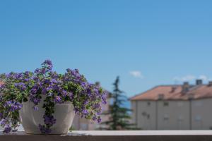 Fotografia z galérie ubytovania Apartman IVONA v destinácii Makarska