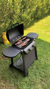 a bbq grill sitting on top of the grass at Green Garden Apartments Soklič in Bohinj