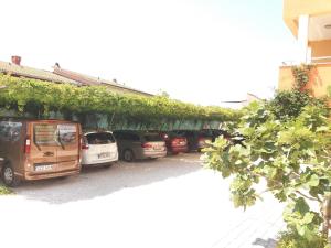 Φωτογραφία από το άλμπουμ του Apartmani "Grgic" σε Omiš