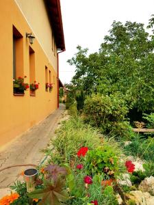 a garden with flowers on the side of a building at Kincsesbánya in Kincsesbanya