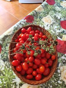 Gallery image of Appartamenti Simonelli in Tropea