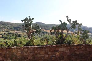 Paesaggio naturale nelle vicinanze del bed & breakfast