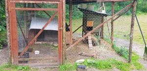 Zahrada ubytování Camping Jaunzāģeri