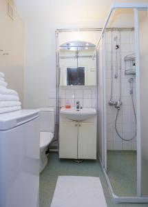 La salle de bains est pourvue de toilettes, d'un lavabo et d'une douche. dans l'établissement Kotimaailma Apartments Vaasa, à Vaasa