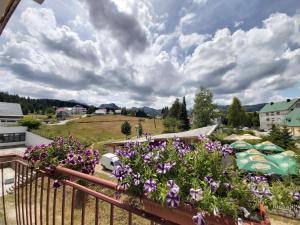 a balcony with purple flowers and a fence at Apartment Zabljak Center in Žabljak