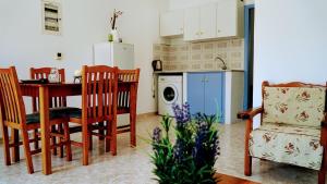 a kitchen with a table and chairs and a washing machine at Irene Double Apartment Katoi in Symi