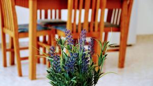 a potted plant with purple flowers in front of chairs at Irene Double Apartment Katoi in Symi