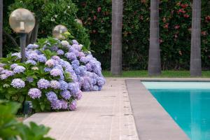 a row of purple flowers next to a swimming pool at Boutique Villa Etna d'A'mare in Trecastagni