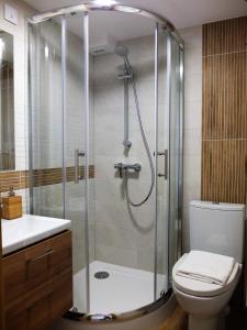 ザコパネにあるApartamenty Milkaのバスルーム(シャワー、トイレ、洗面台付)