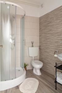 a bathroom with a shower and a toilet and a sink at Guesthouse Green Istria in Truške