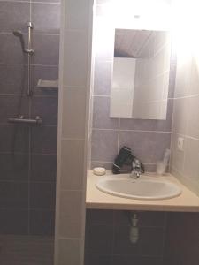 uma casa de banho com um lavatório e um chuveiro em LE CHEMINARD em Feugarolles