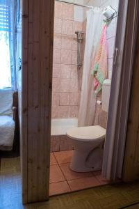 a bathroom with a toilet and a shower and a tub at Garan Guesthouse in Jósvafő