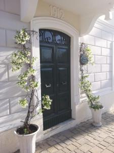 une porte noire sur une maison avec deux plantes en pot dans l'établissement Bed&Breakfast 1912, à Fermo