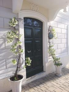 czarne drzwi na domu z dwoma doniczkami w obiekcie Bed&Breakfast 1912 w mieście Fermo