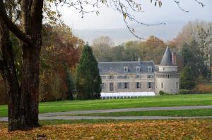 ein großes Schloss auf einem Feld mit einem Baum in der Unterkunft Enjoy en Champagne au calme milieu des vignes JO Paris 2024 in Dormans