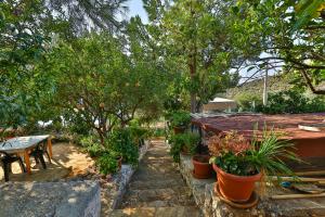 a garden with potted plants and a table and trees at Hamarat Otel in Kaş