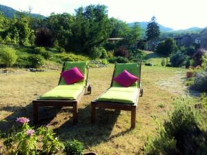 Příroda nedaleko bed and breakfast