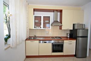 Kuchyň nebo kuchyňský kout v ubytování Apartment Igor