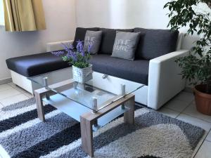 a living room with a couch and a glass coffee table at Apartments Villa Anna Sonia in Podstrana