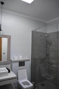 a bathroom with a shower and a toilet and a sink at Luxury Villa at Royal Park Sandpiper in La Bergerie +20 photos