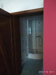 Koupelna v ubytování Apartments Cederika