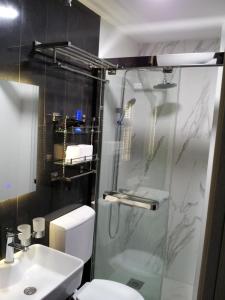 a bathroom with a shower and a toilet and a sink at Apartmani MITIĆ in Veliko Gradište +37 photos