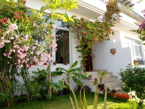 A garden outside Lana Villa