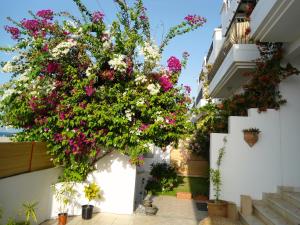 A garden outside Lana Villa