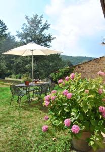 una mesa con sombrilla y flores rosas en CASA AL MIGLIO, en Pratolino