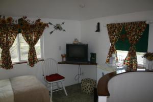 1 Schlafzimmer mit einem Bett, einem TV und 2 Fenstern in der Unterkunft Dreamcatcher Bed and Breakfast in Palisade