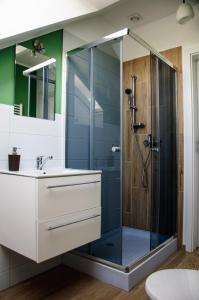 een badkamer met een glazen douche en een wastafel bij Siedlisko Owink in Swornegacie