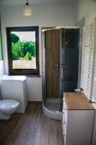 ein Bad mit einer Dusche, einem WC und einem Waschbecken in der Unterkunft Siedlisko Owink in Swornegacie