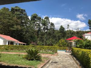 Zahrada ubytování FINCA EL RECUERDO