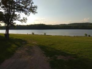 a tree in a field next to a body of water at Mobilheim Vyhlídka Camp Výrovice in Výrovice