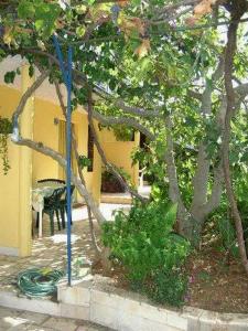 スペタルにあるApartments Mericaの木の横にホースを持つ黄色い建物