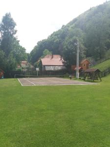 a tennis court in the middle of a green field at Pensiunea Vladut in Bran