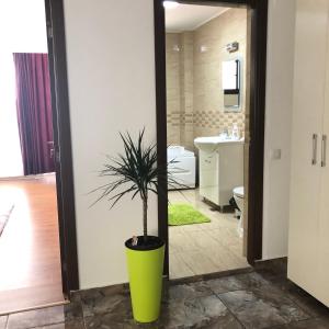 ein Badezimmer mit einer grünen Topfpflanze in der Auster in der Unterkunft Apartamente Seashells Mamaia Nord in Mamaia Nord – Năvodari