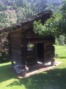 uma pequena cabana de madeira com uma planta na porta em The cosy Isba - Chambre d hôtes - Val de Bagnes - Verbier em Versegeres 