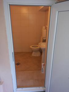 a bathroom with a toilet and a glass door at Apartman Pavle Virpazar in Virpazar