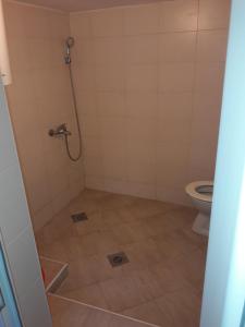 y baño con ducha y aseo. en Apartman Pavle Virpazar en Virpazar