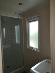 La salle de bains est pourvue d'une douche, d'une fenêtre et d'un lavabo. dans l'établissement Mobil home climatisé en Alsace, à Biesheim